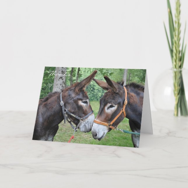 Thanks for being my friend donkeys thank you card (Front)