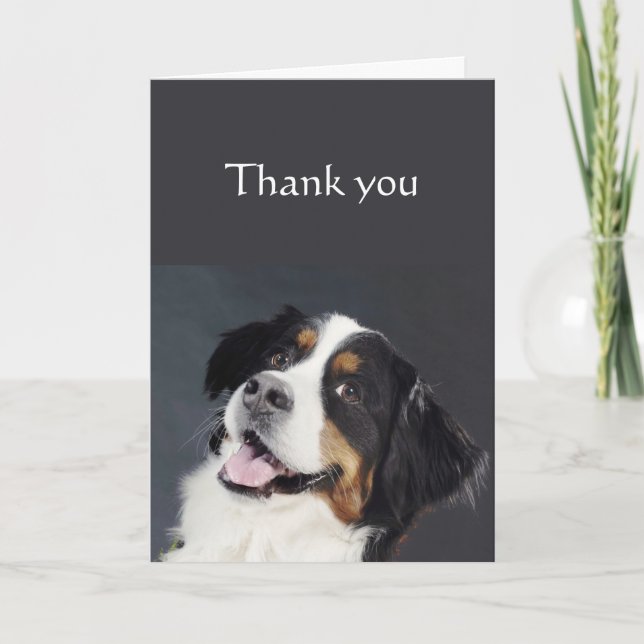 Thanks for being so Awesome Border Collie Dog Card (Front)