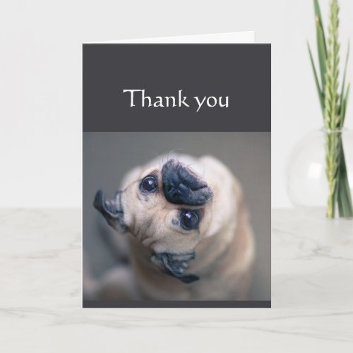 Thanks for being so Awesome Fun Pug Dog Animal Card