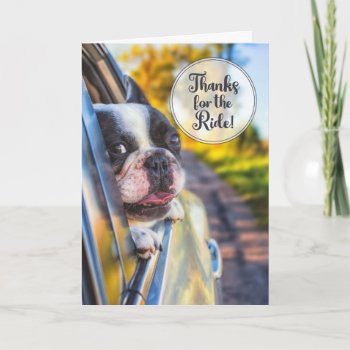 Thanks For The Ride Cute Dog In A Car Window Card by PAWSitivelyPETs at Zazzle