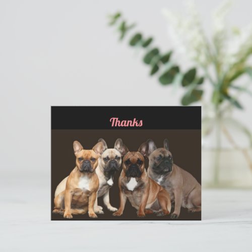 Thanks French Bulldog postcard