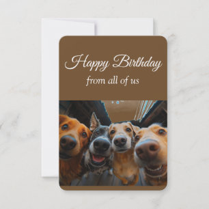 Thanks From the Group Fun Dogs Pet Animals Thank You Card