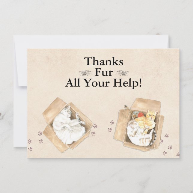 Thanks Fur All Your Help! Cats in Boxes, Thank You (Front)