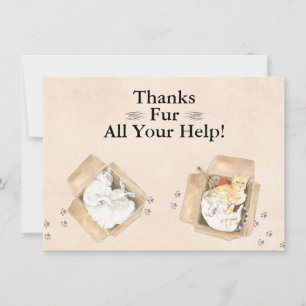 Thanks Fur All Your Help! Cats in Boxes, Thank You