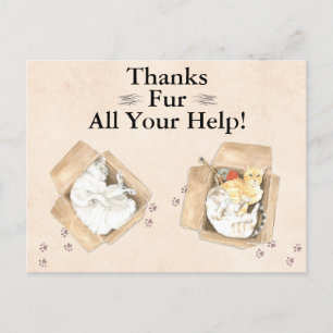 Thanks Fur All Your Help! Cats in Boxes, Thank You Postcard