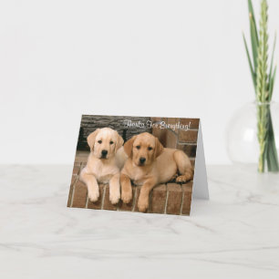 Thanks Labrador Retriever Puppies Greeting Card
