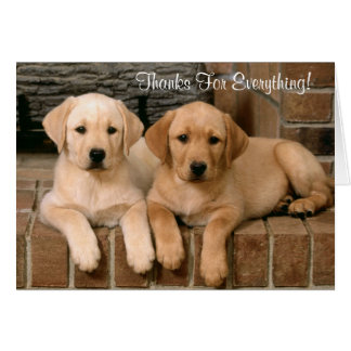 Retriever Thank You Cards, Retriever Thank You Card Templates, Postage ...