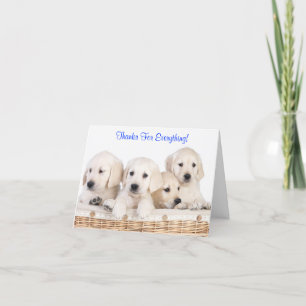 Thanks Lupabrador Retriever Thank You Card
