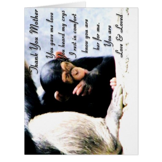 Thanks Mother_ (Front)