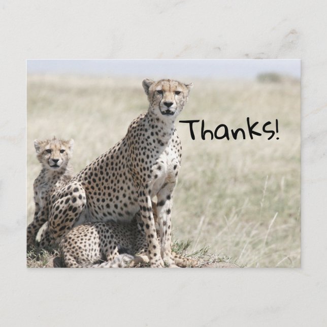 Thanks Postcard (Front)