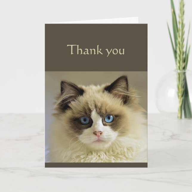 Thanks Sincere Beautiful Cat Animal Scripture Card (Front)
