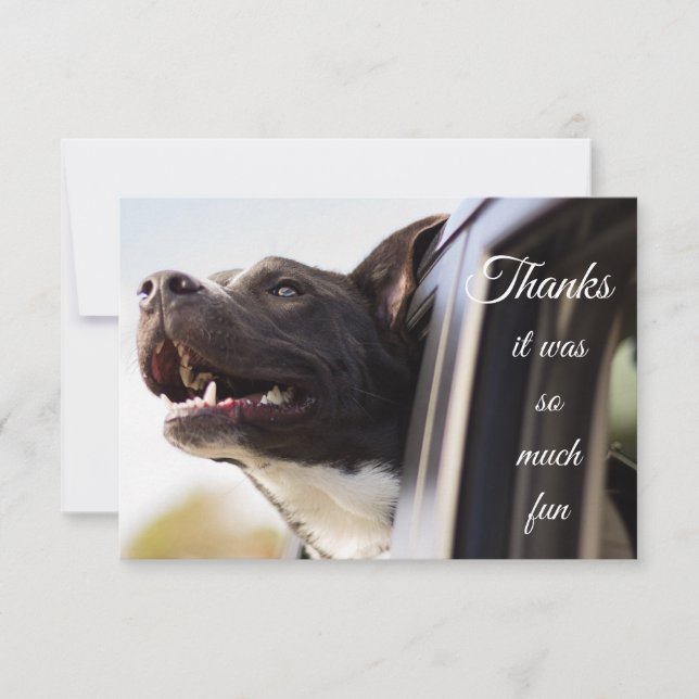 Thanks so Much Fun Cute Dog Out the Window Thank You Card (Front)