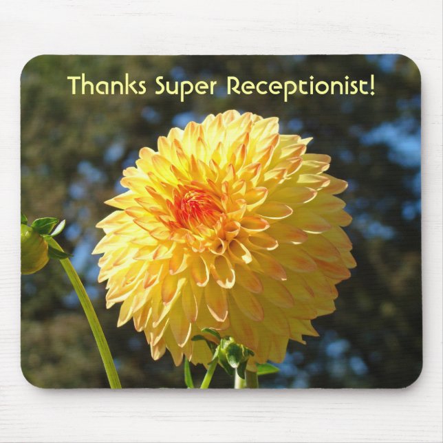 Thanks Super Receptionist! mousepad gifts (Front)
