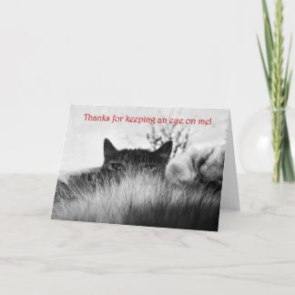 Thanks Thank You Card