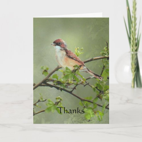 Thanks Whitethroat Bird for Gift Donation Thank You Card