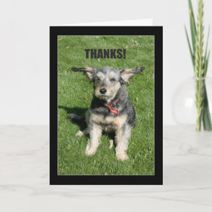 Thanks! Your Kindness Nearly Blew Me Away! Letterpress Thank You Card