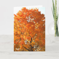 Thanksgiving Across the Miles Cards