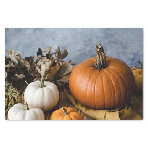 Thanksgiving Autumn Fall Harvest Halloween Pumpkin Tissue Paper