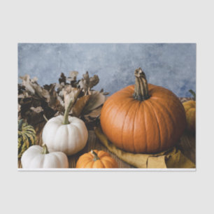 Thanksgiving Autumn Fall Harvest Halloween Pumpkin Tissue Paper