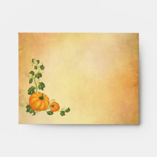 Thanksgiving, autumn harvest, pumpkins A2 Envelope