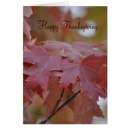 Thanksgiving ~ Autumn Leaves Cards (Front)