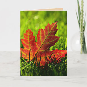 THANKSGIVING AUTUMN LEAVES GREETING CARD