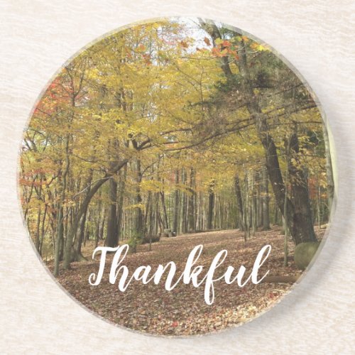 Thanksgiving Autumn Thankful Fall Leaves Coaster