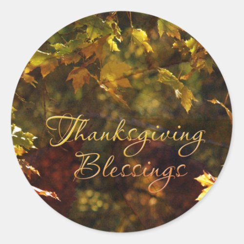 Thanksgiving Blessings Stickers