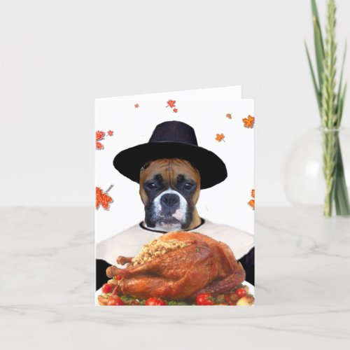 Thanksgiving boxdog notecard