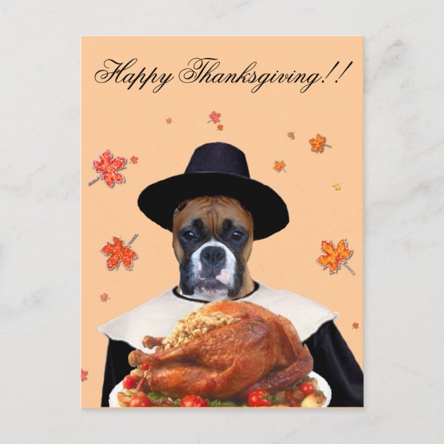Thanksgiving boxer dog postcard (Front)