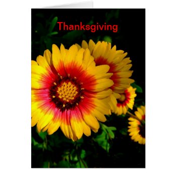 Thanksgiving Card  Cheerful Bright Yellow Flowers by RosieCards at Zazzle