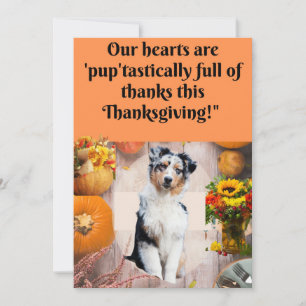 Thanksgiving Card for Dogs and Cats,