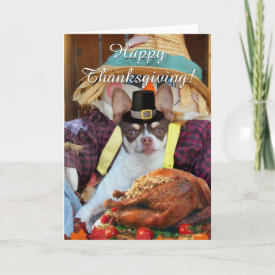 Thanksgiving Chihuahua dog greeting card