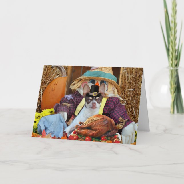 Thanksgiving Chihuahua dog greeting Card (Front)