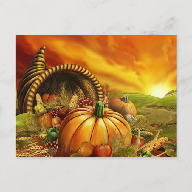 Thanksgiving cornucopia pumpkin field postcard (Front)