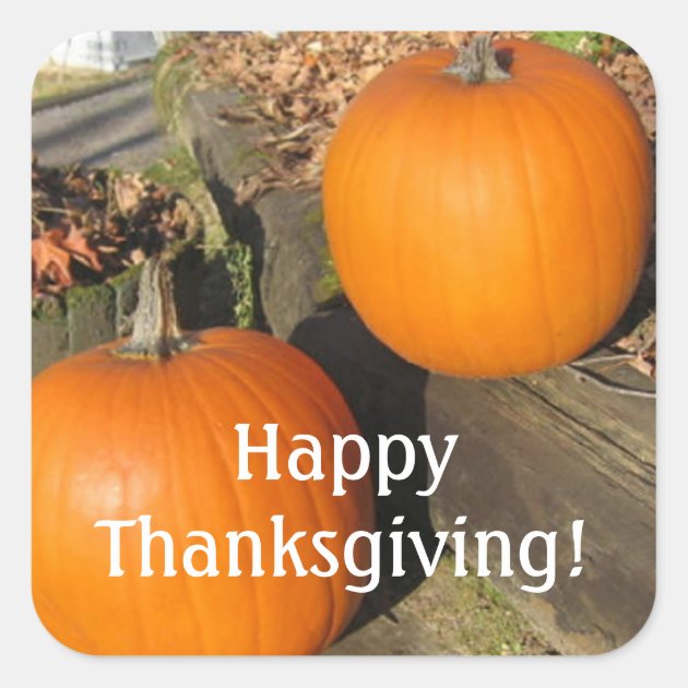 Thanksgiving Country Pumpkins Square Sticker