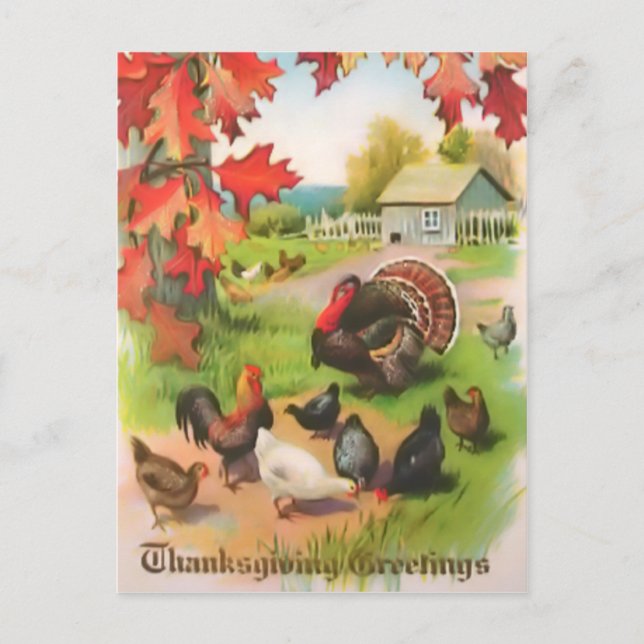 Thanksgiving Countryside Greetings Postcard (Front)