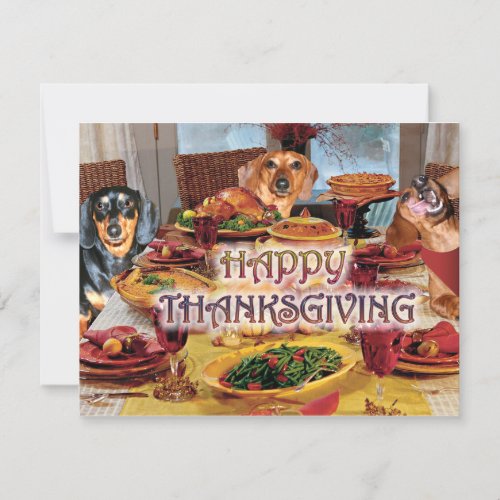 Thanksgiving Dachshunds Holiday Card