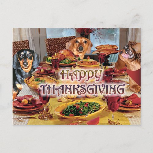 Thanksgiving Dachshunds Holiday Postcard