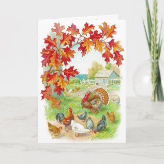 Thanksgiving Day Card