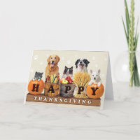 Thanksgiving Day cat and dogs Holiday Card