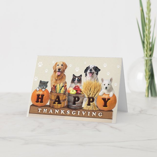 Thanksgiving Day cat and dogs Holiday Card (Front)