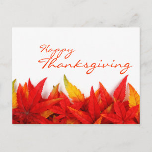 Thanksgiving Day Postcard