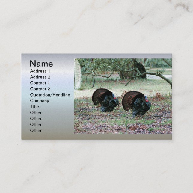 Thanksgiving Day Wild Turkeys in an Open Field Business Card (Front)