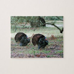Thanksgiving Day Wild Turkeys in an Open Field Jigsaw Puzzle