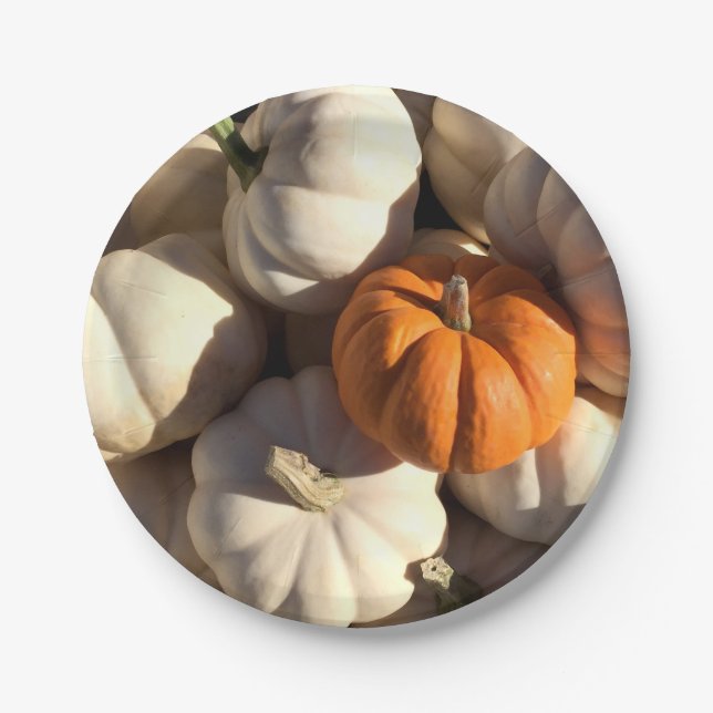 Thanksgiving Dinner Pumpkin Harvest Paper Plates (Front)