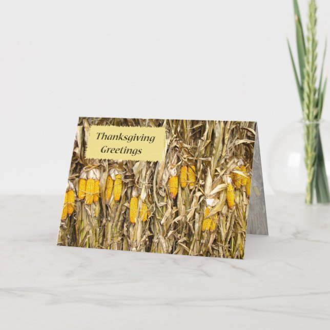 Thanksgiving Dried Corn Stalk Decorations Holiday Card (Front)