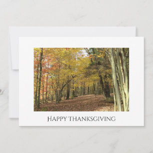 Thanksgiving Fall Foliage Photo Autumn Holiday