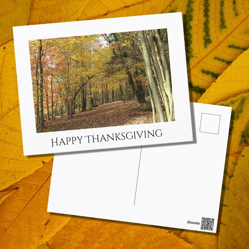 Thanksgiving Fall Foliage Photo Holiday  Postcard