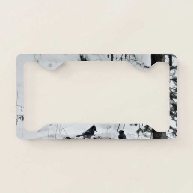 Thanksgiving  Feast -Two Blue Jays   License Plate Frame (Front)